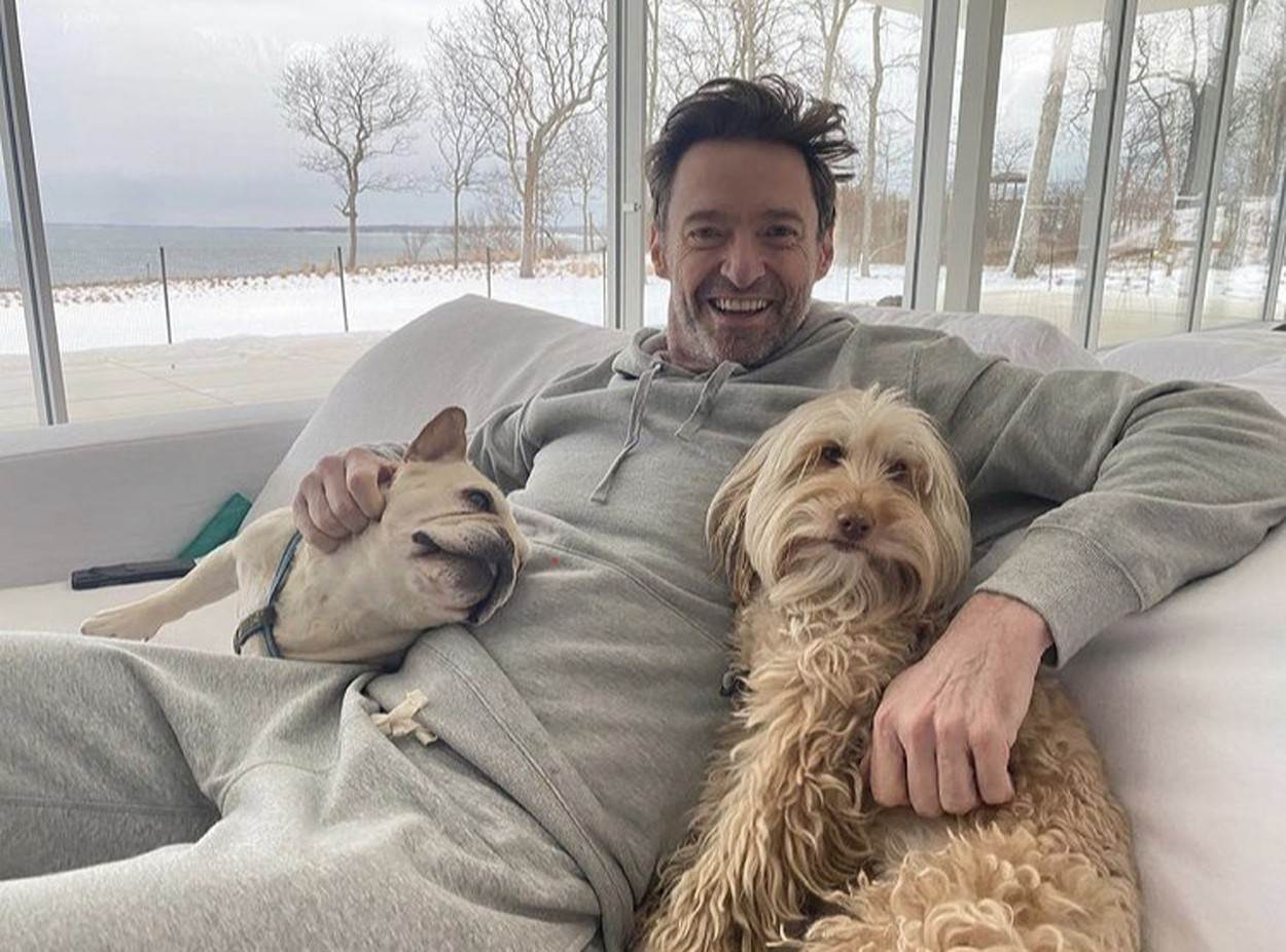 profimedia-0594878450