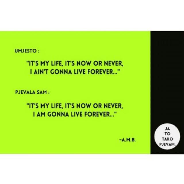 10431888_309019555933437_1651830943_n