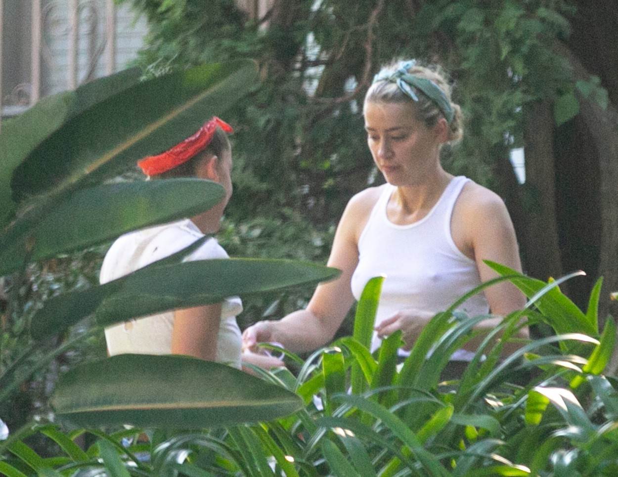 amber heard, dan bez grudnjaka