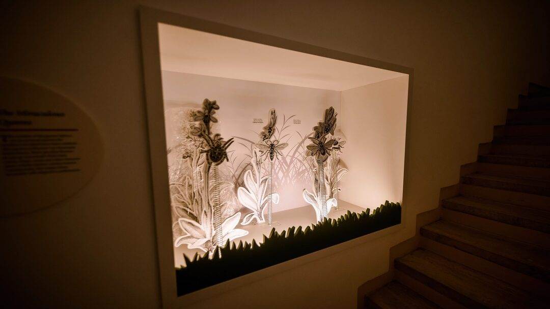 medvedgrad-by-marko-edge-92-2048x1366