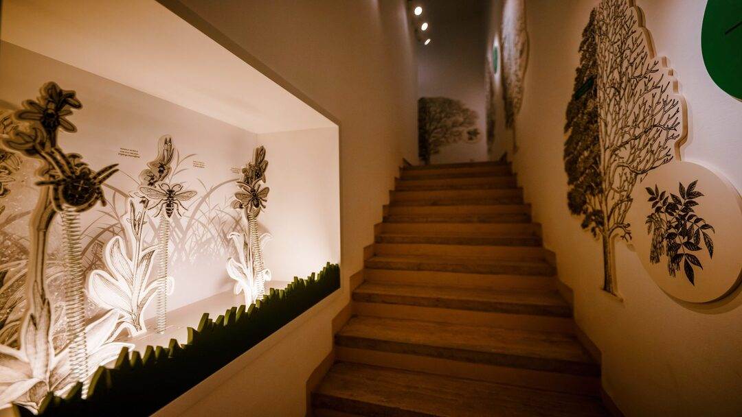 medvedgrad-by-marko-edge-13-2048x1366