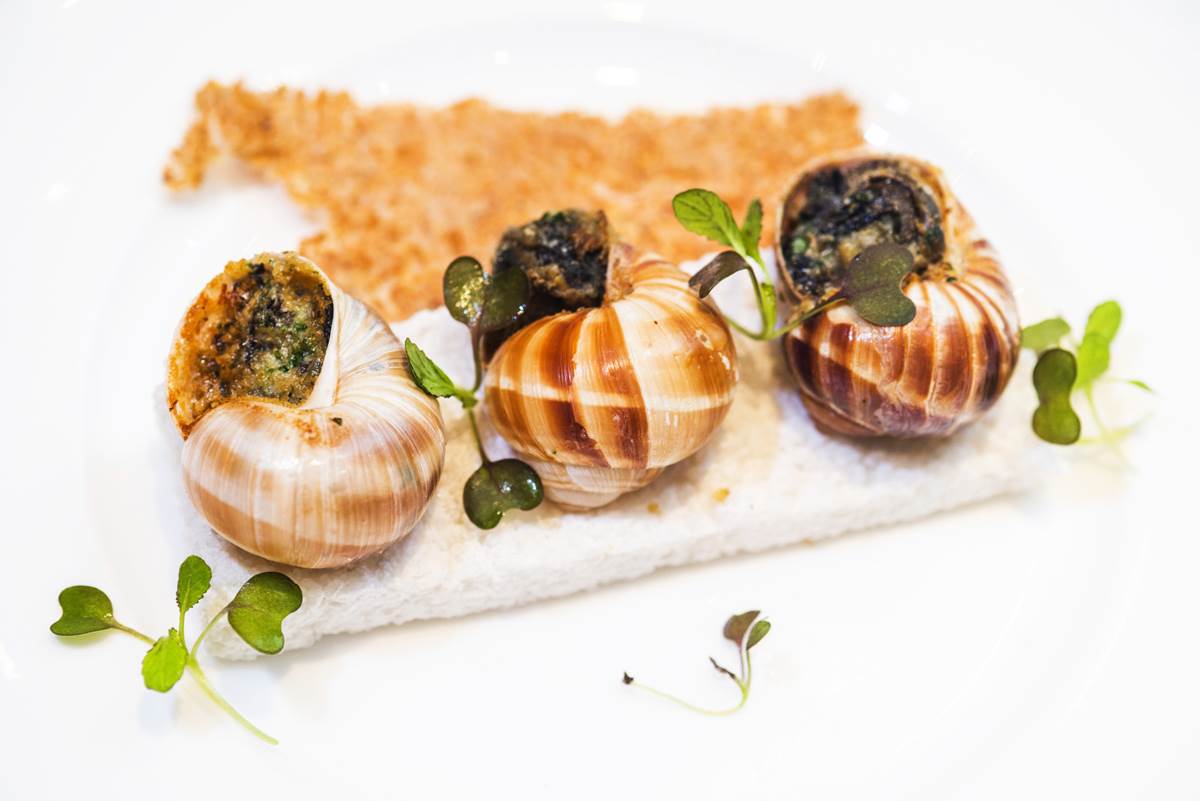 Good France - Zinfandels 2021 (2)