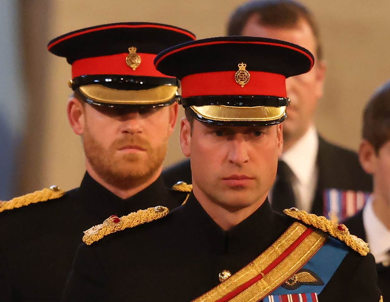 Princ Harry i princ William na bdjenju