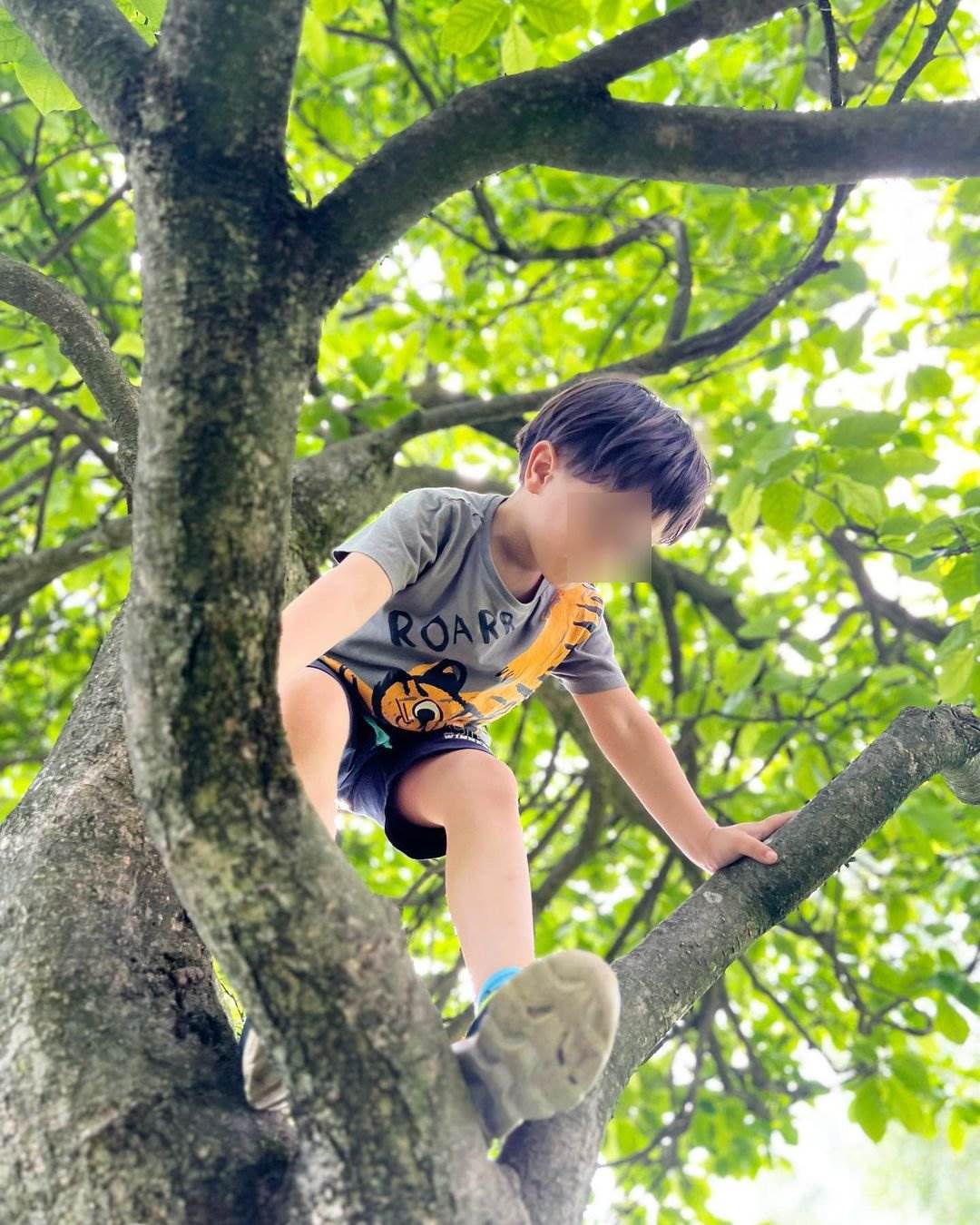 Sin Marijane Mikulić se popeo na drvo