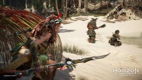 Horizon Forbidden West (2)