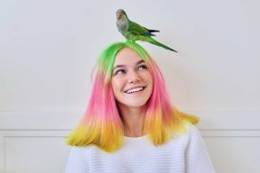 Pet Living 5.jpg
