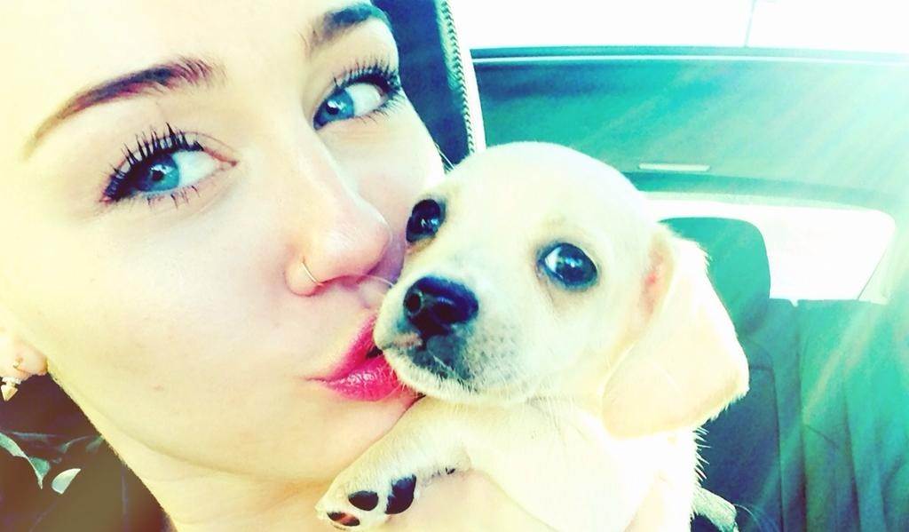 Miley Cyrus: "Kujica Bean je vratila sunce u moj život"