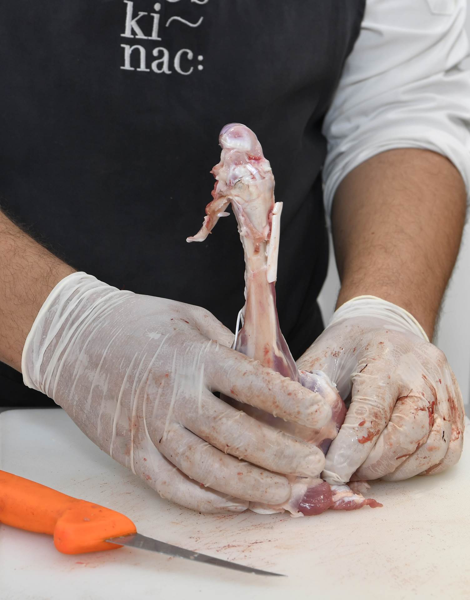 janjac_tranziranje31-2992021