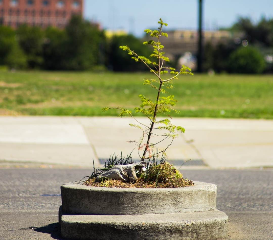 Mill Ends Park u Portlandu je najmanji park na svijetu.