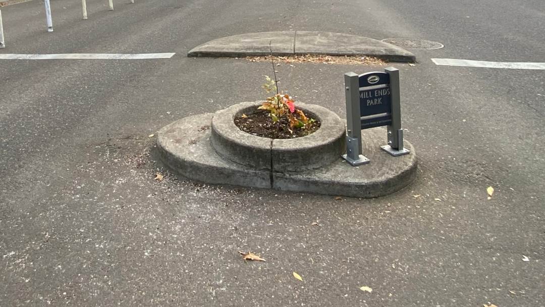 Mill Ends Park u Portlandu je najmanji park na svijetu.