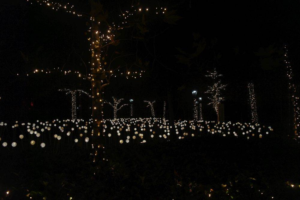 Mjesečev vrt u sklopu Adventa na Gornjem gradu