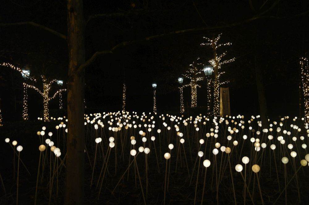 Mjesečev vrt u sklopu Adventa na Gornjem gradu