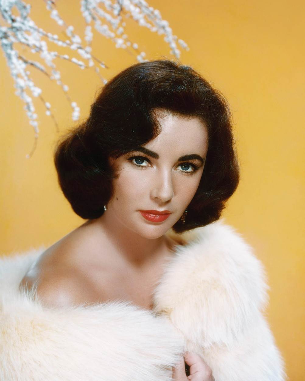 Elizabeth Taylor