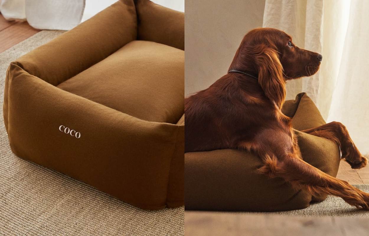 WOOL PET BED