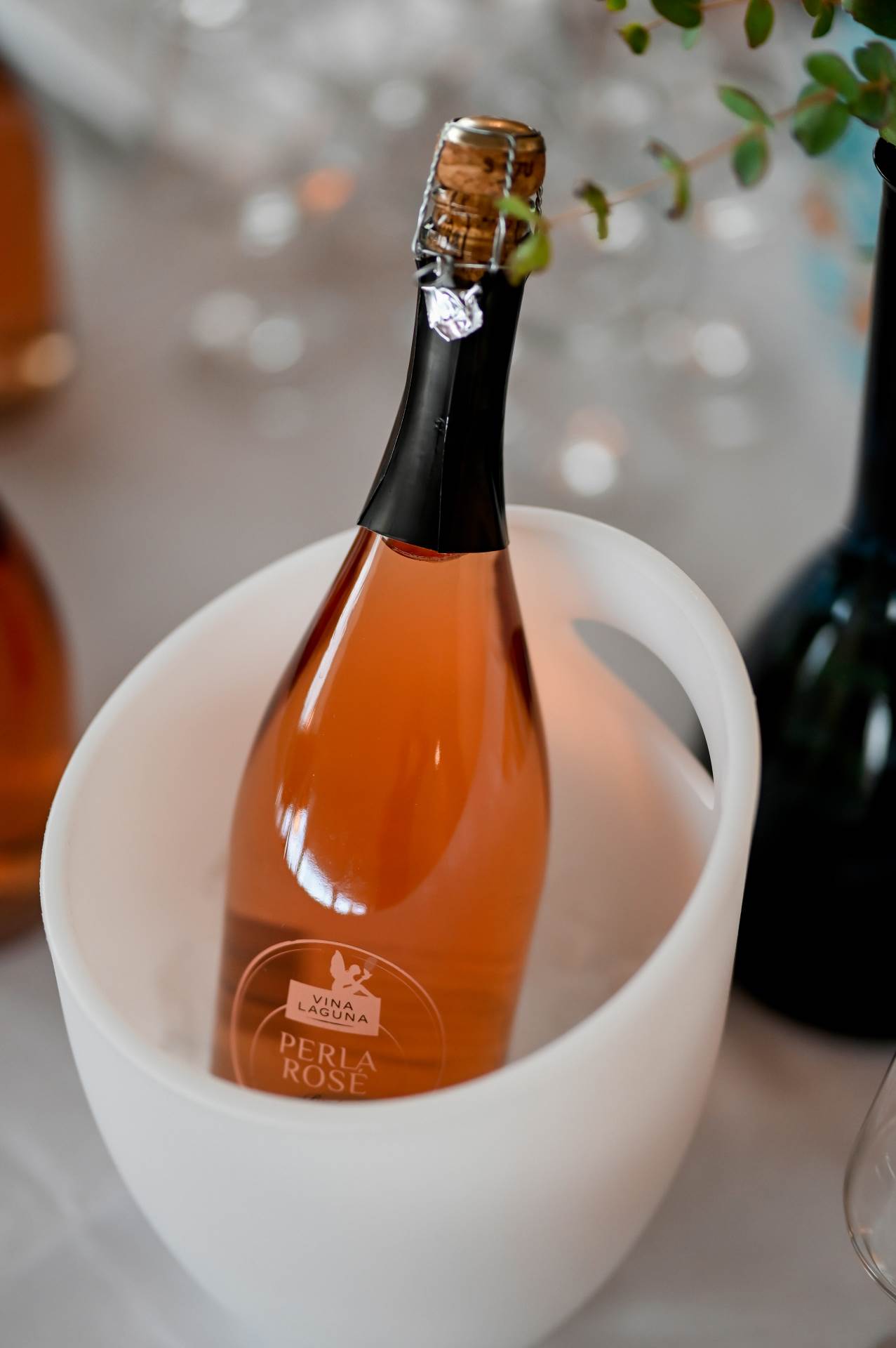 Perla Rose Vina Laguna