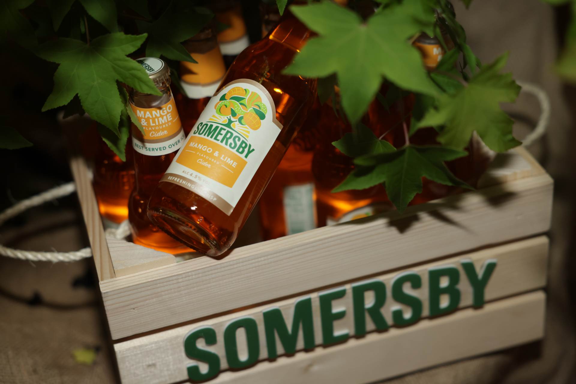 Party i uzvanici Story Hall of Famea 2022 godine