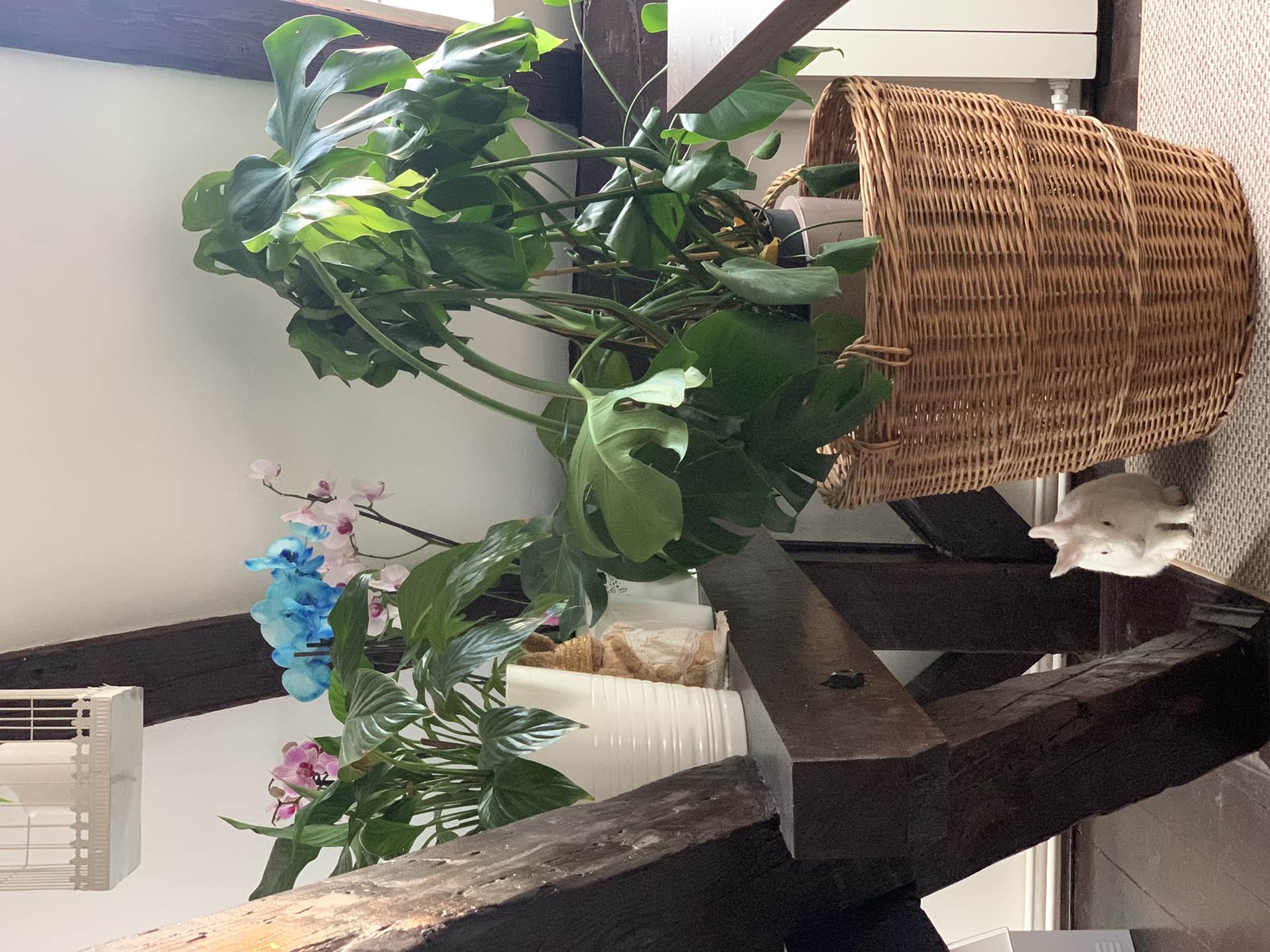 Šarmantni stan u potkrovlju na zagrebačkom Tuškancu