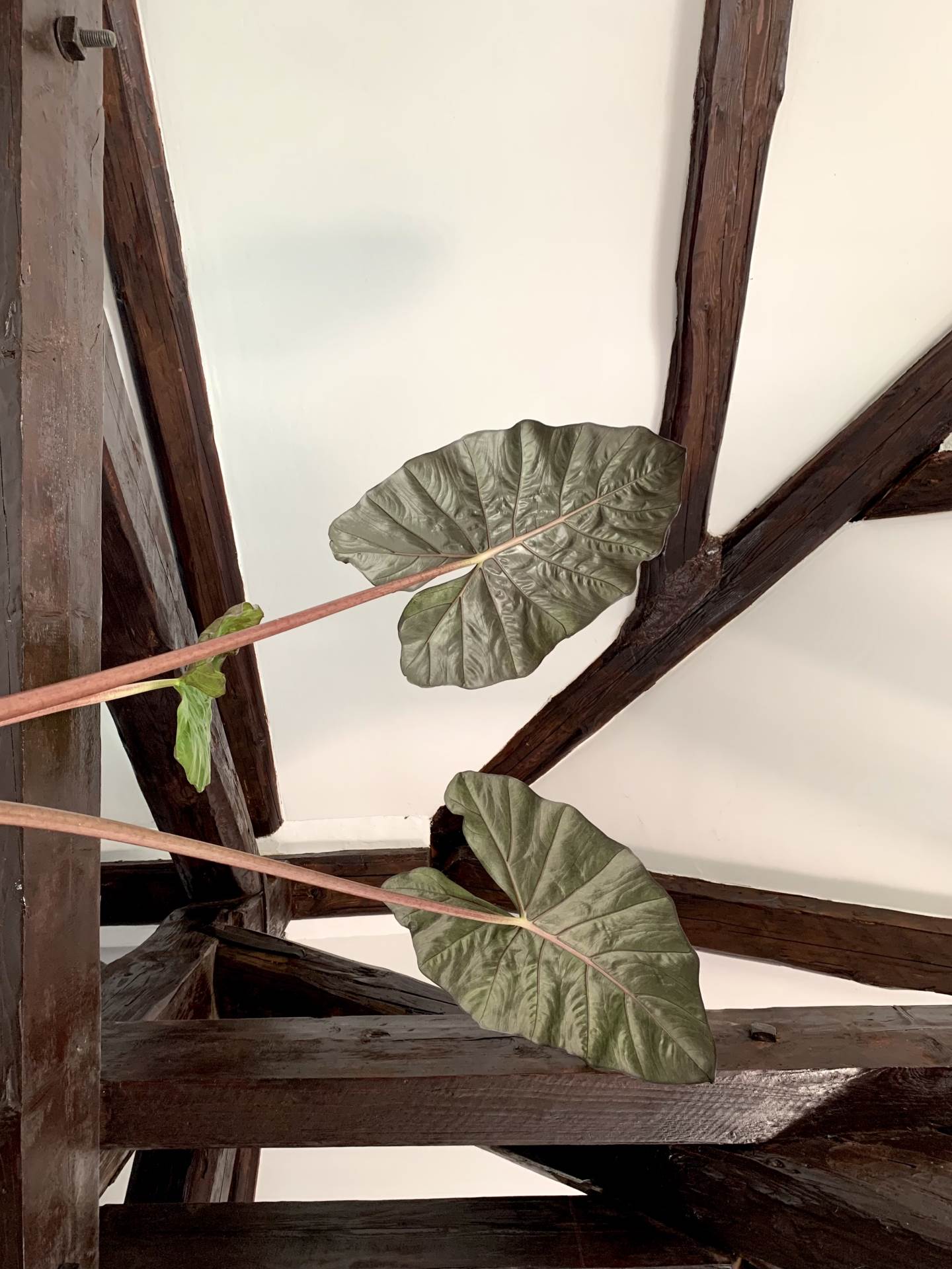 Šarmantni stan u potkrovlju na zagrebačkom Tuškancu