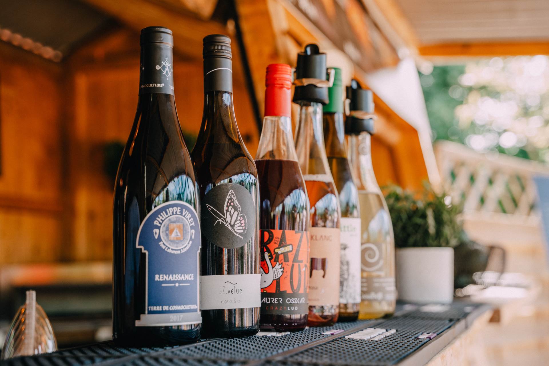 Beg_s plant based - biodinamička vina.jpg