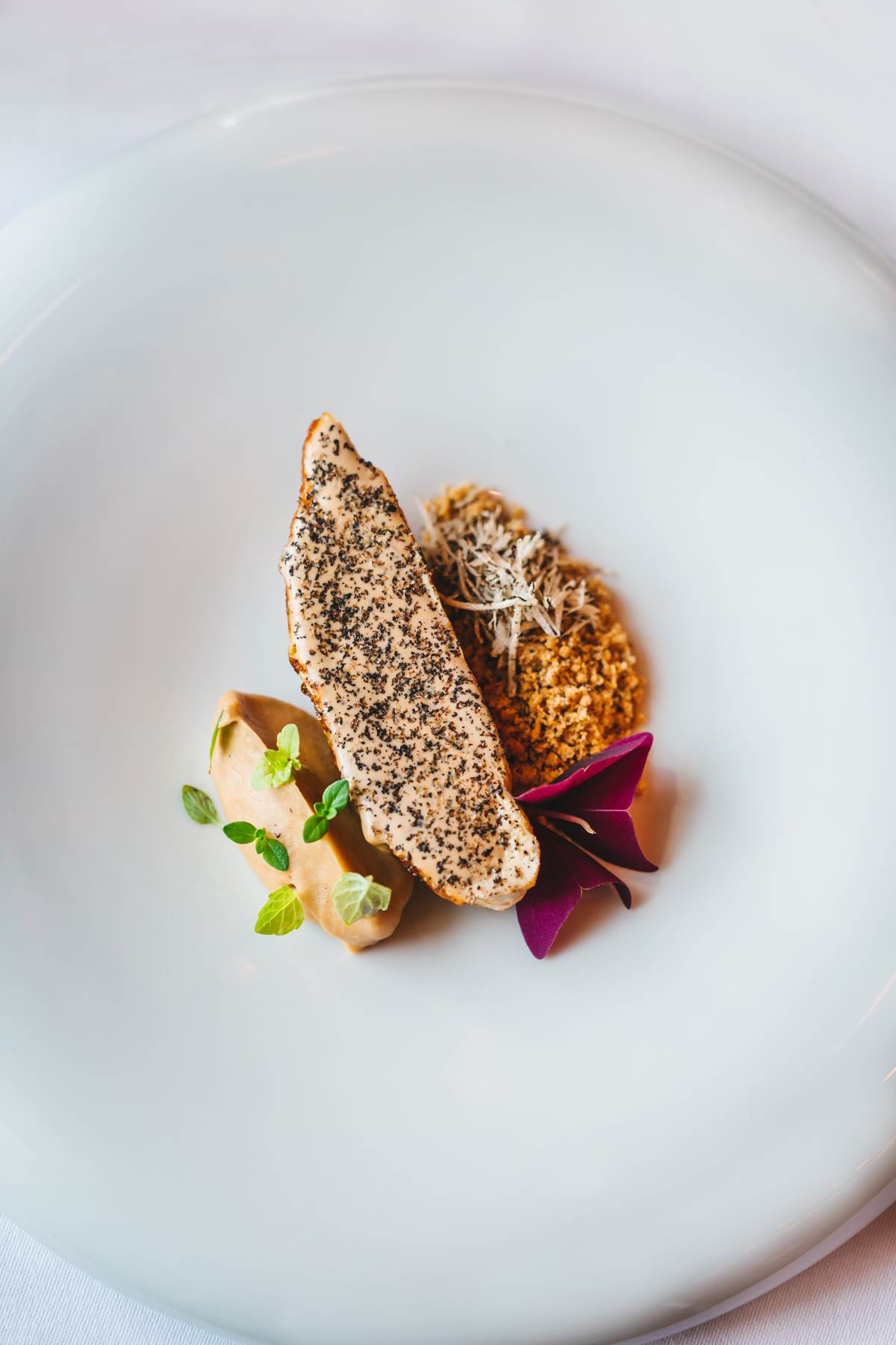 Prsa biserke sous vide, krema od vrganja (1).jpg