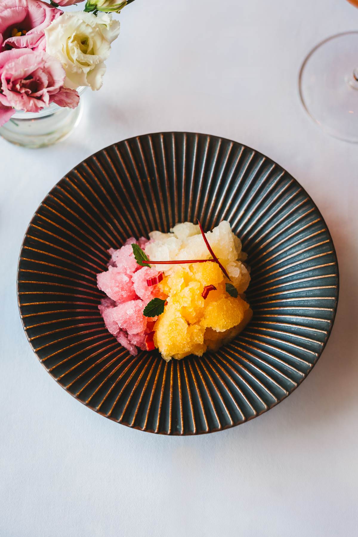 Sorbet od citrusa i rabarbare (1).jpg