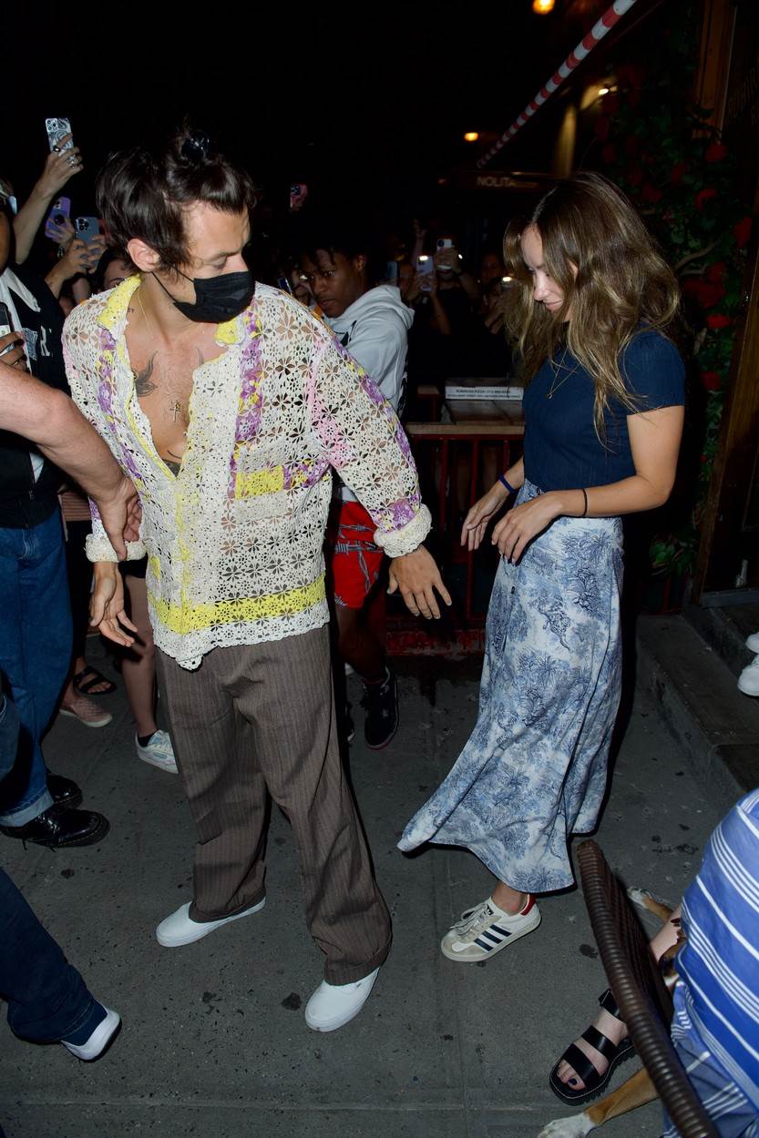 Harry Styles i Olivia Wilde su bili u vezi