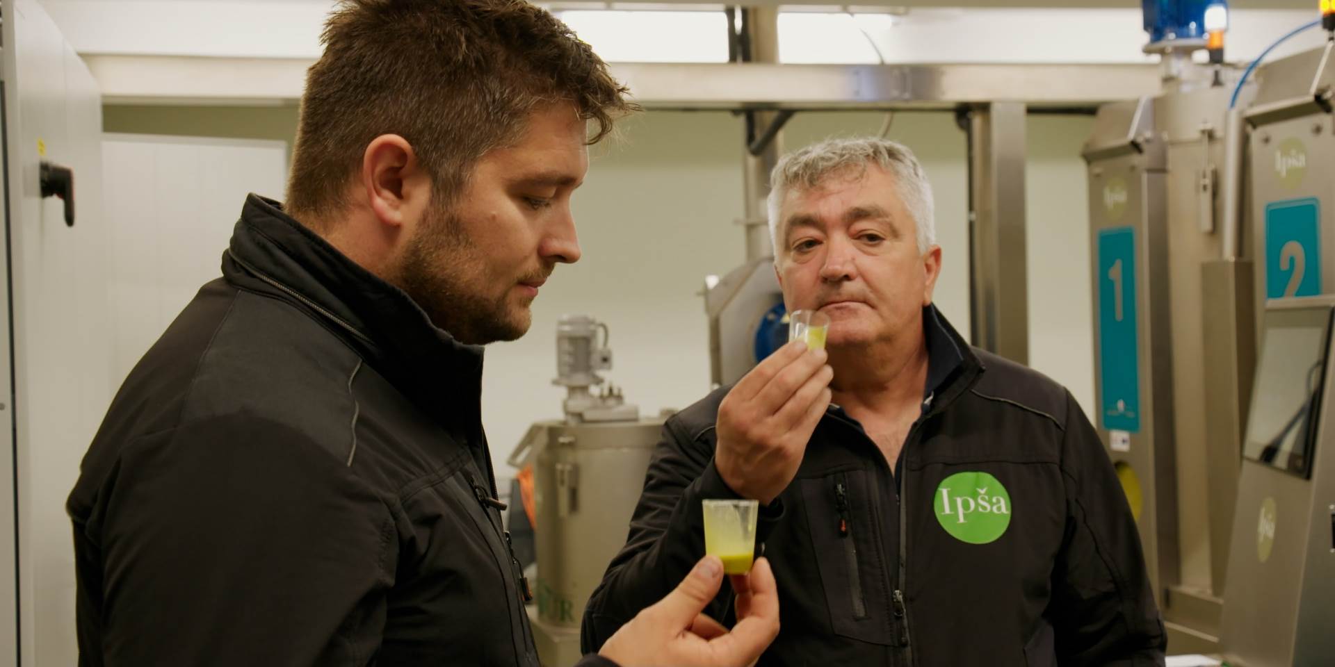 Ipša maslinovo ulje_Ivan i Klaudio Ipša_EP6.jpg