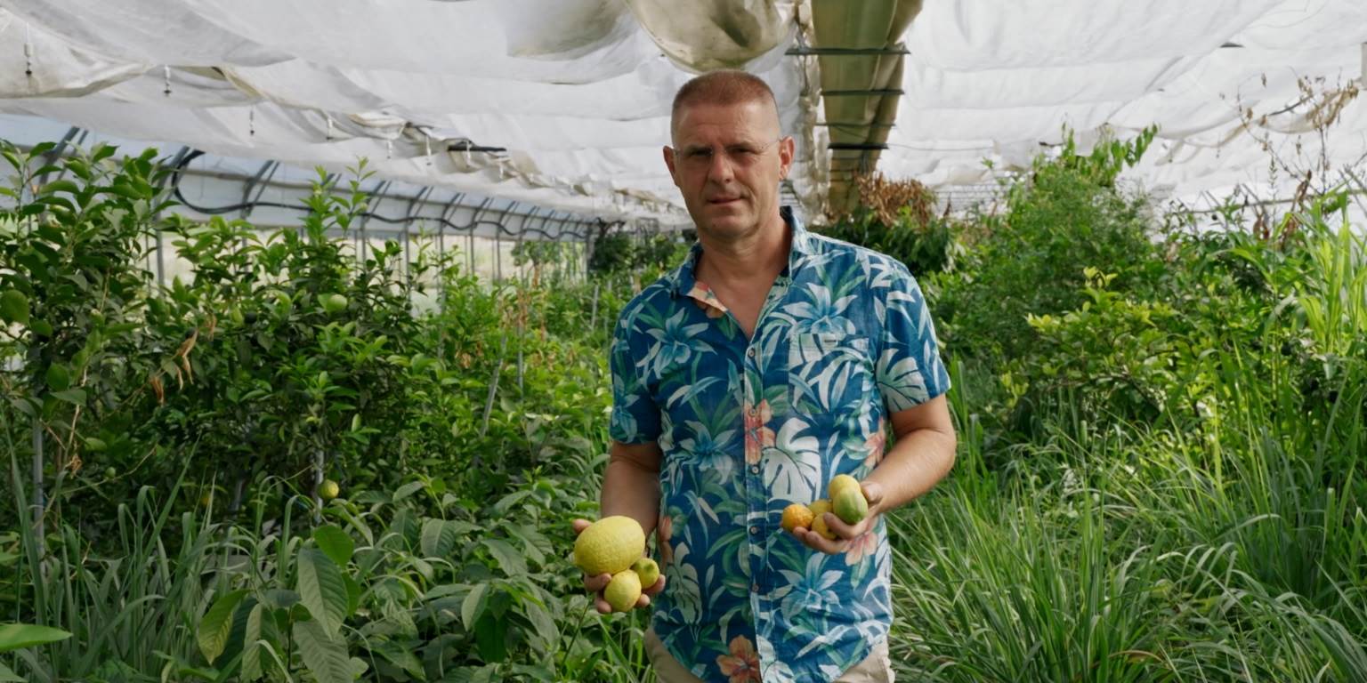 Ivan Šulog_egzotično voće i povrće_EP4.jpg