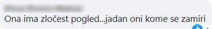 Razvod Jelene Perčin i Momčila Otaševića