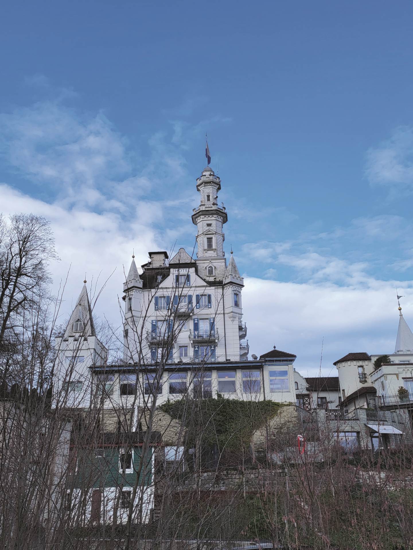 Arija Rizvić u Švicarskoj