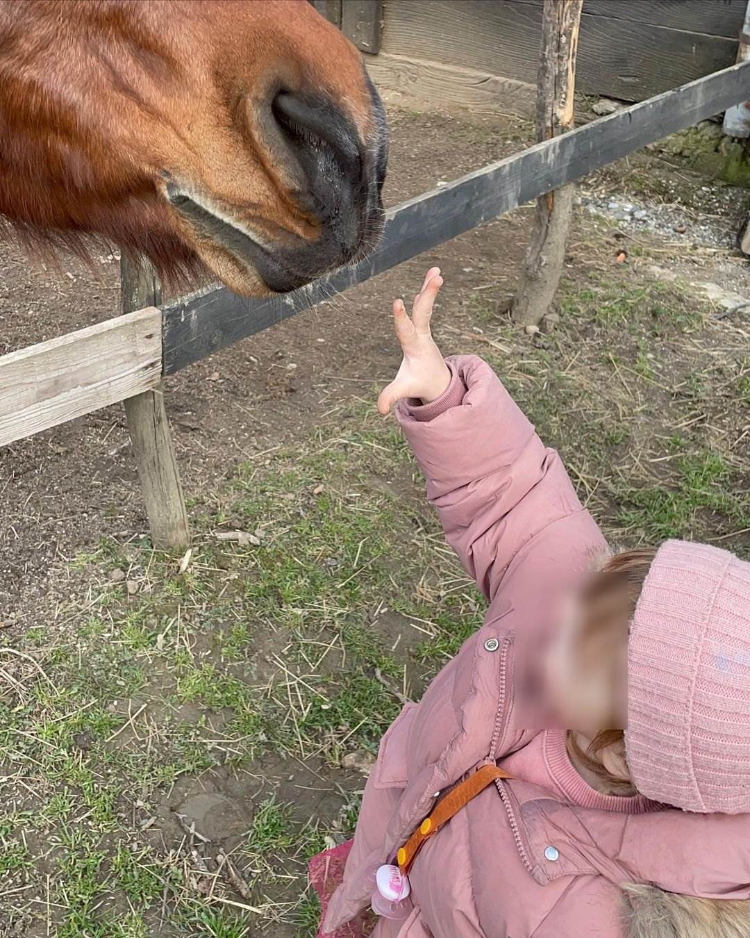 Obiteljski izlet Nataše Janjić