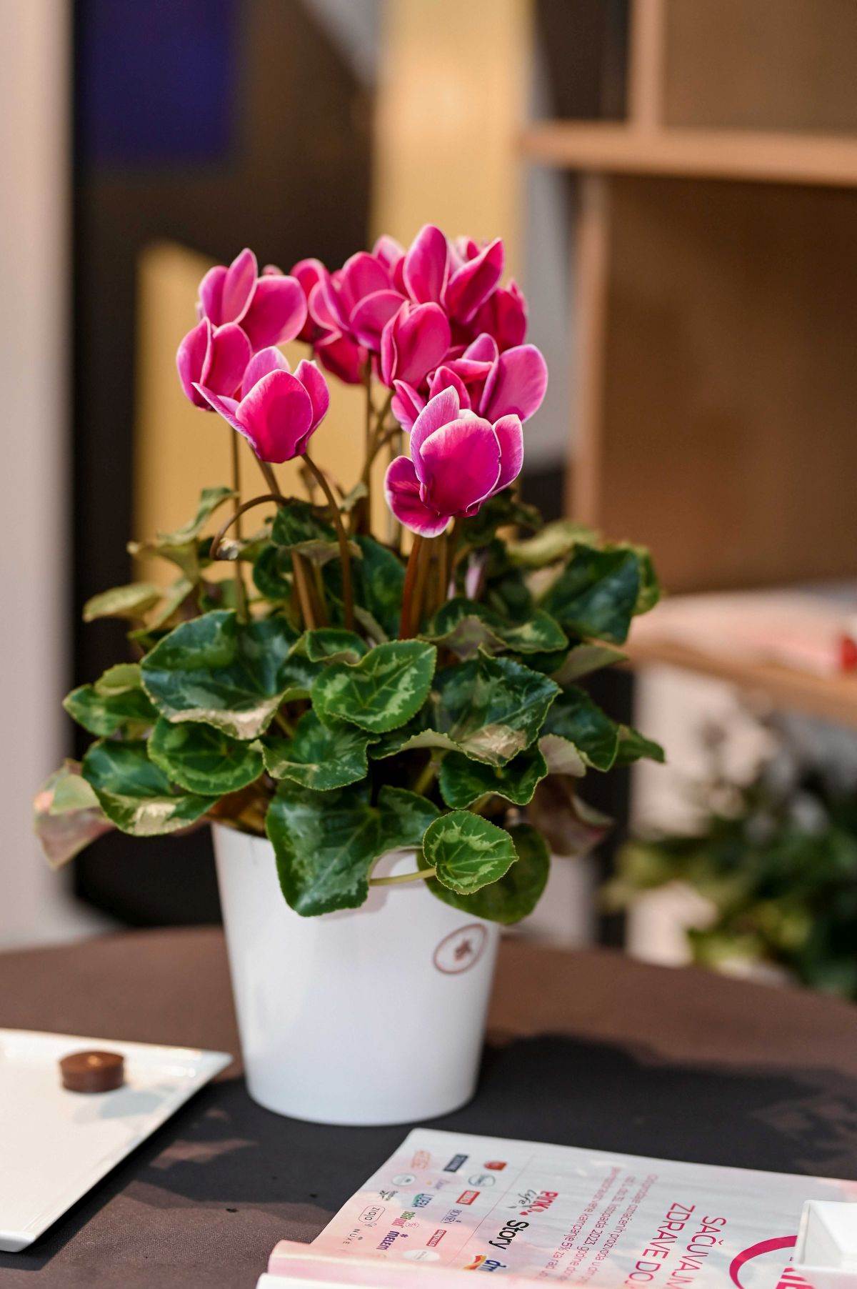 Story Pink Ribbon__RG (52).JPG