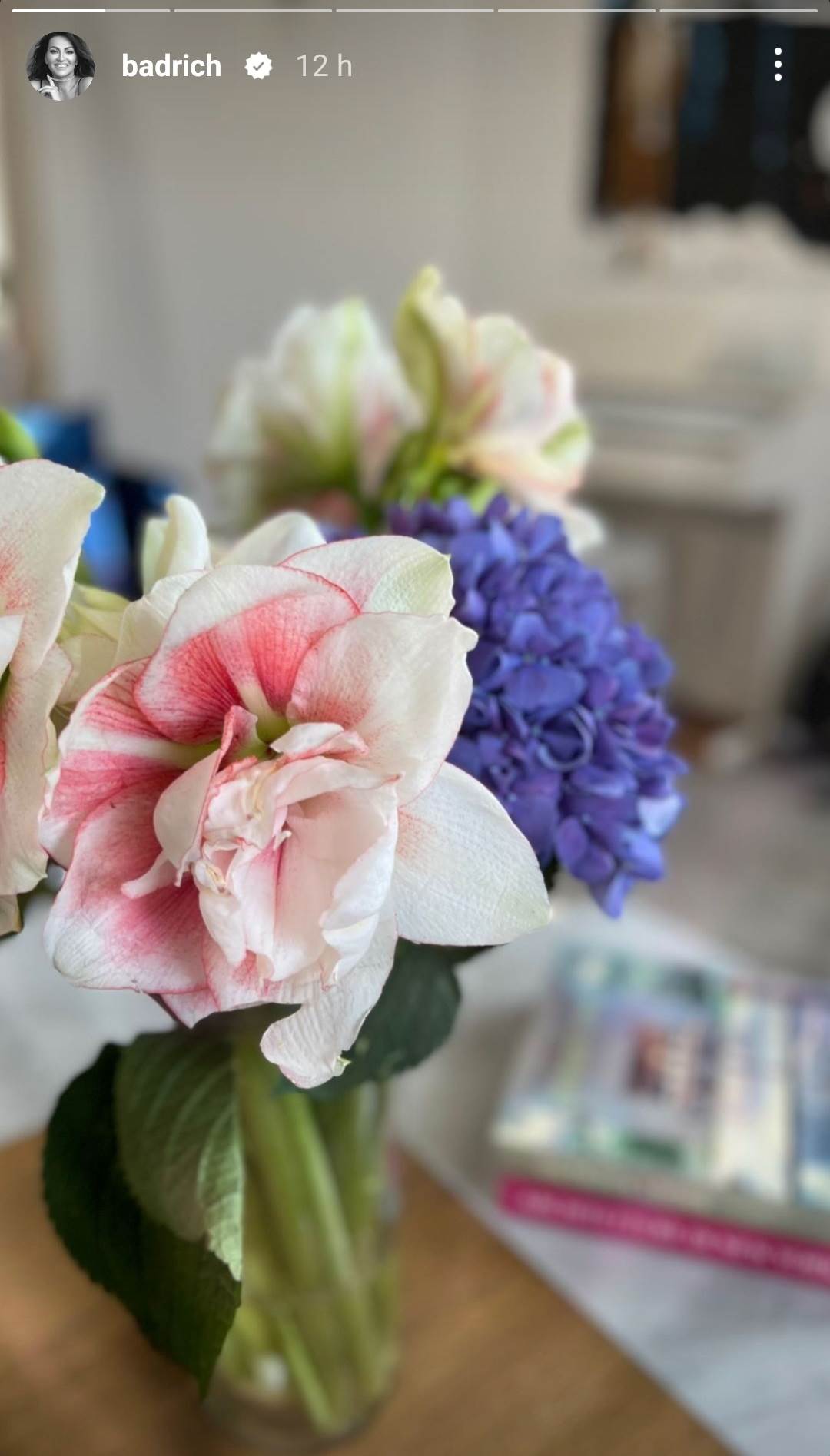 Luksuzni stan Nine Badrić