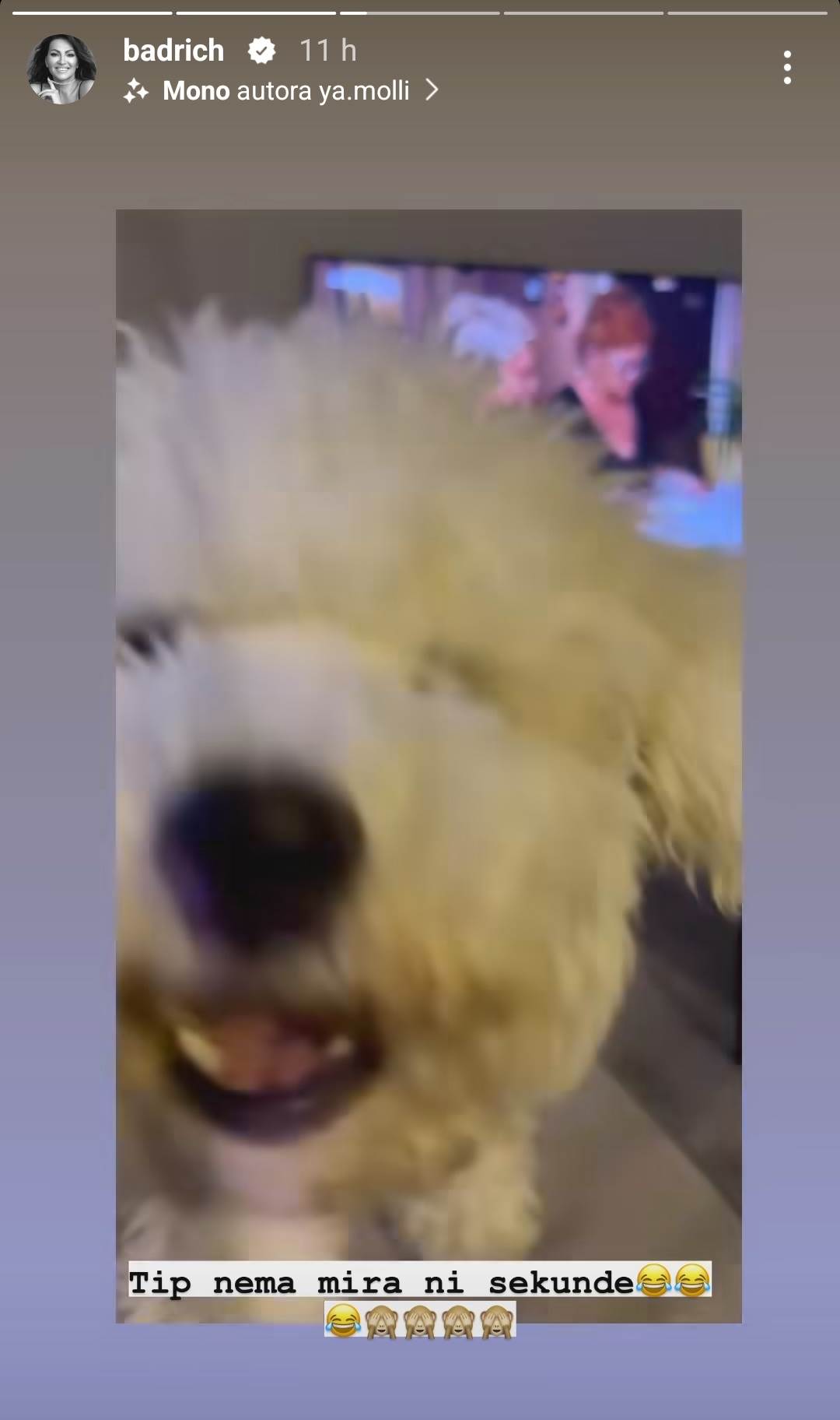 Luksuzni stan Nine Badrić