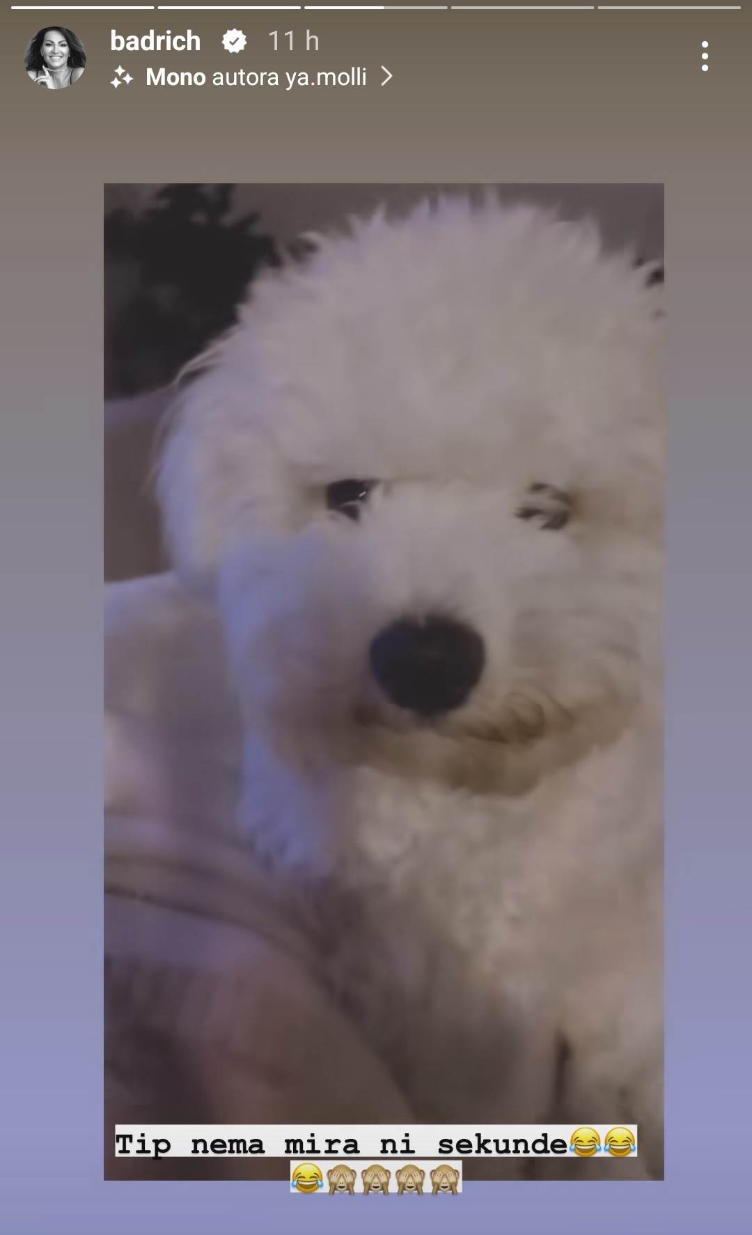 Luksuzni stan Nine Badrić