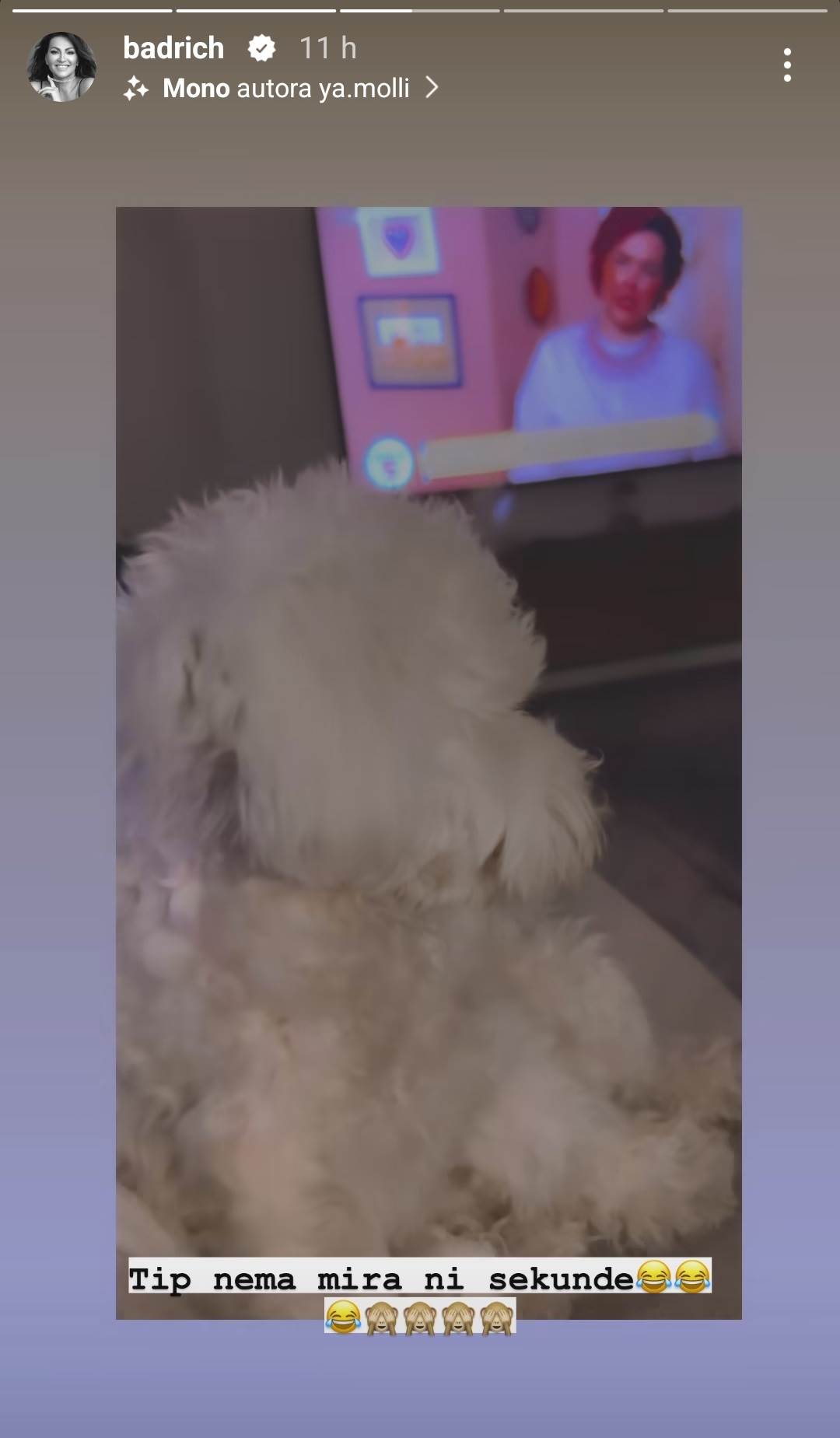 Luksuzni stan Nine Badrić