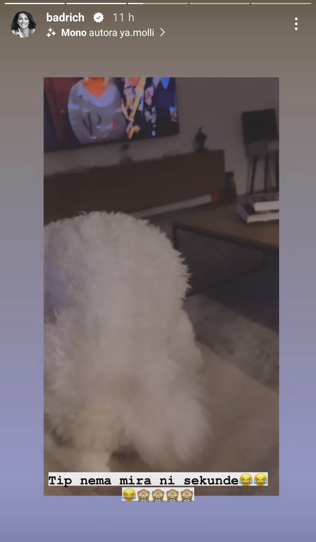 Luksuzni stan Nine Badrić