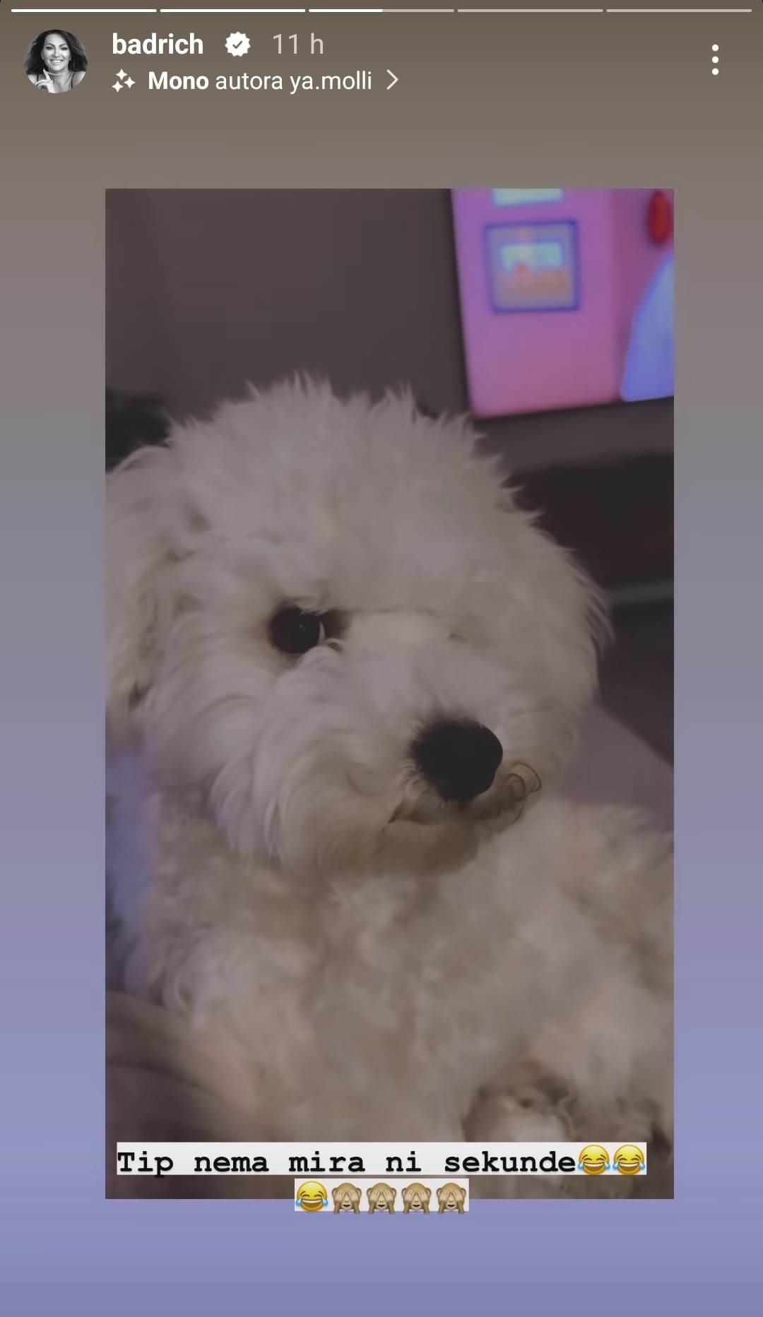 Luksuzni stan Nine Badrić