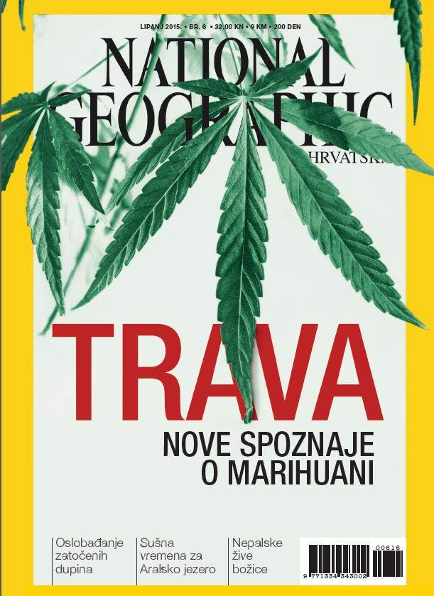 Trava – nove spoznaje o marihuani u lipanjskom National Geographicu