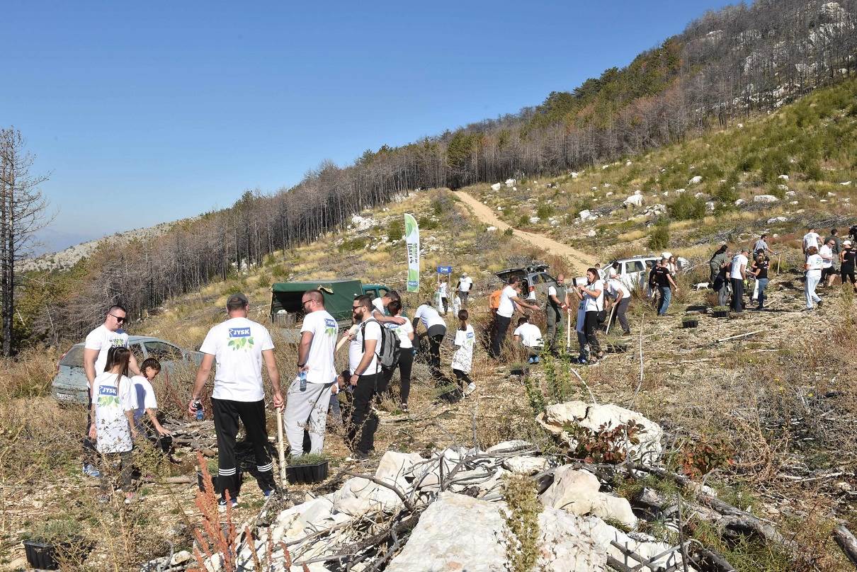 JYSK održao akciju pošumljavanja zone Promina s 2.000 sadnica bora