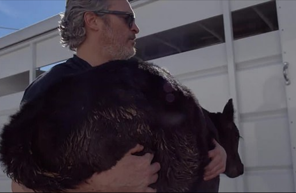 VIDEO Joaquin Phoenix spasio kravu i tele iz klaonice