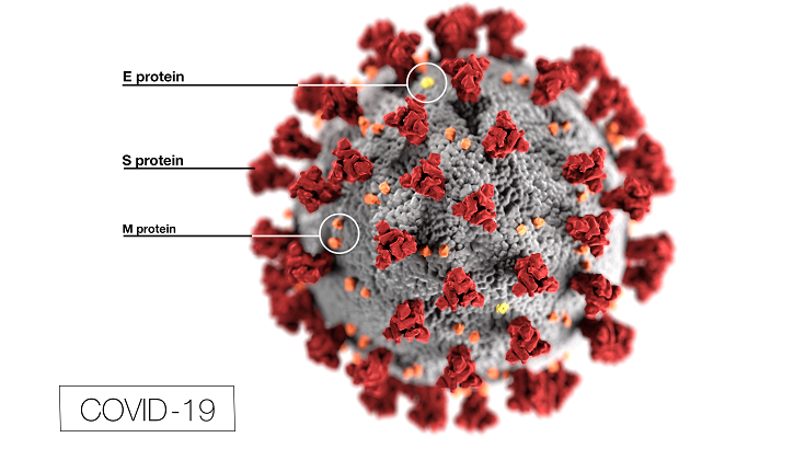 NATIONAL GEOGRAPHIC HRVATSKA ZA STORY.HR Što znamo o koronavirusu?