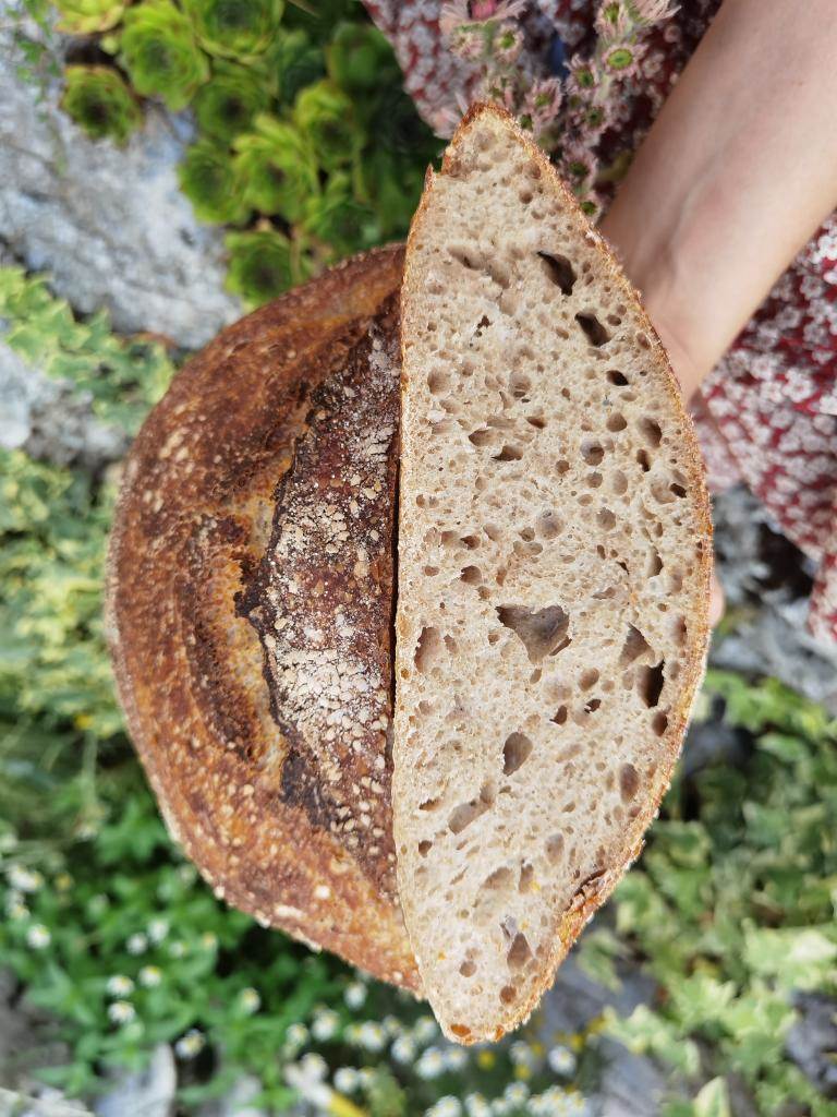 Sourdough kruh Marijane Mikulić u koji ćete se zaljubiti na prvi pogled
