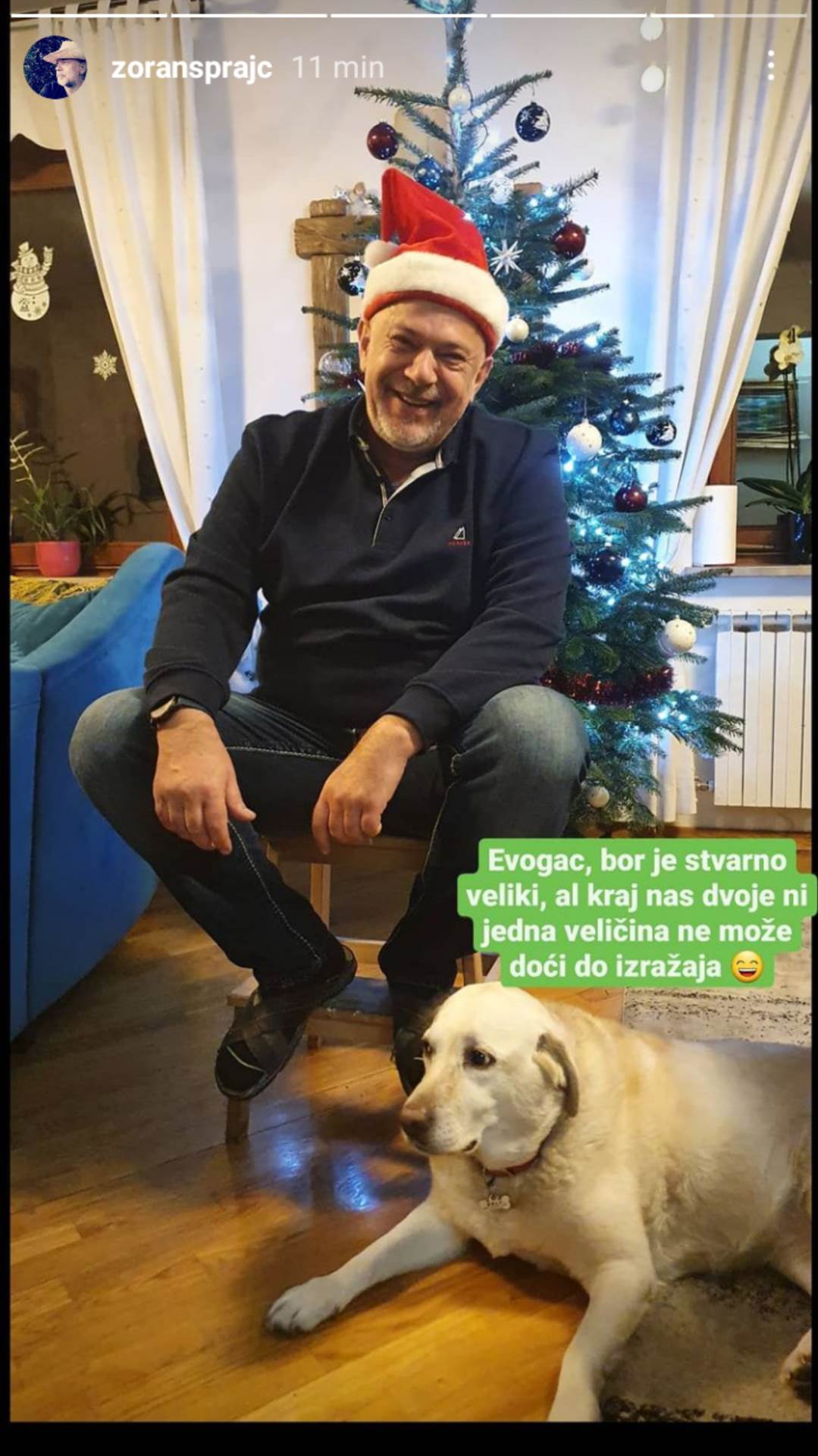 POSAO ZA PAPA ŠTRUMPFA Ovako je Zoran Šprajc okitio božićno drvce