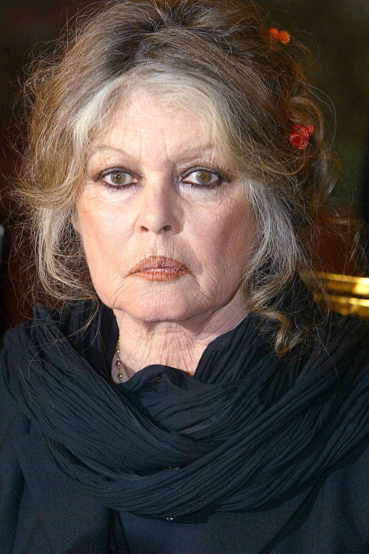 ZGROZILA JAVNOST Brigitte Bardot tvrdi da zna lijek protiv korone