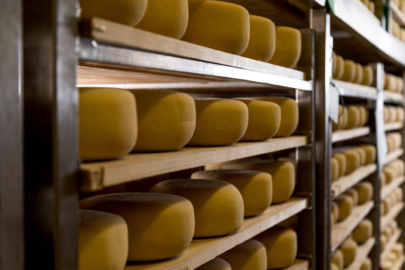 Čestitamo Dan ljubitelja sira svima koji ga slave!