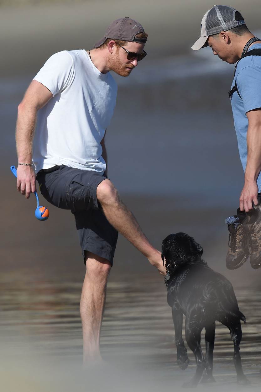 UHVAĆEN U POSEBNOM DRUŠTVU Meghan ne izlazi iz kuće, a Harry uživa na plaži