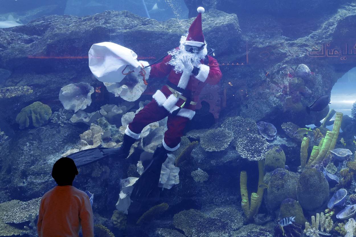 Djed Božićnjak pliva u akvariju