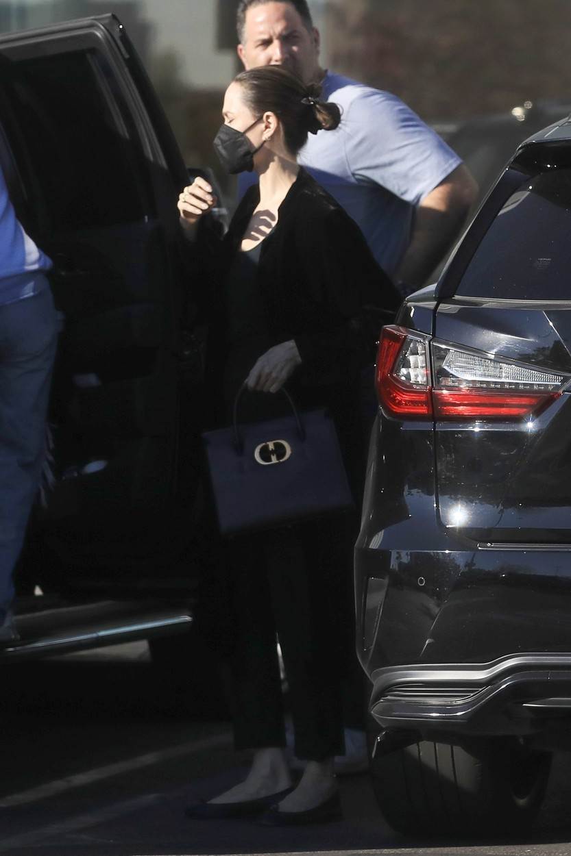 Angelina Jolie nosi torbu Dior, model St. Honore