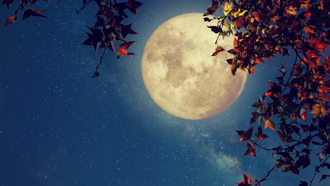 Puni Mjesec u Lavu odvija se 5.veljače 2023.